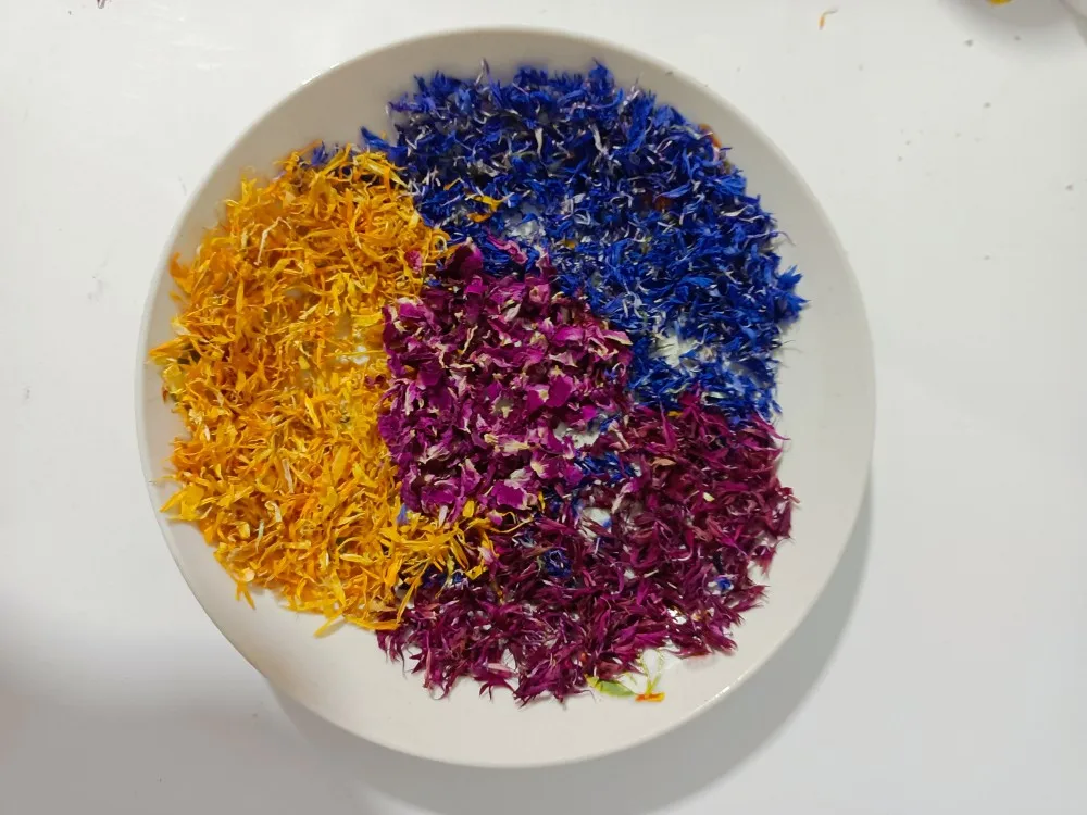 زهرة الأقحوان المزدوجة اللون مصنوعة يدويًا، بتلات بنفسجية مختلطة، زهرة زينة عطرية للديكور المنزلي، غير صالحة للأكل، زهرة مجففة