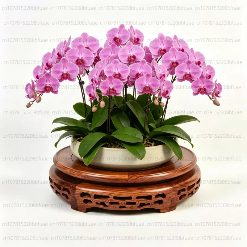 Solid Wood Round Plant Stand Carved Pedestal, Vintage Flower Pot Vase Stone Ornament Display Rack Ornament Holder
