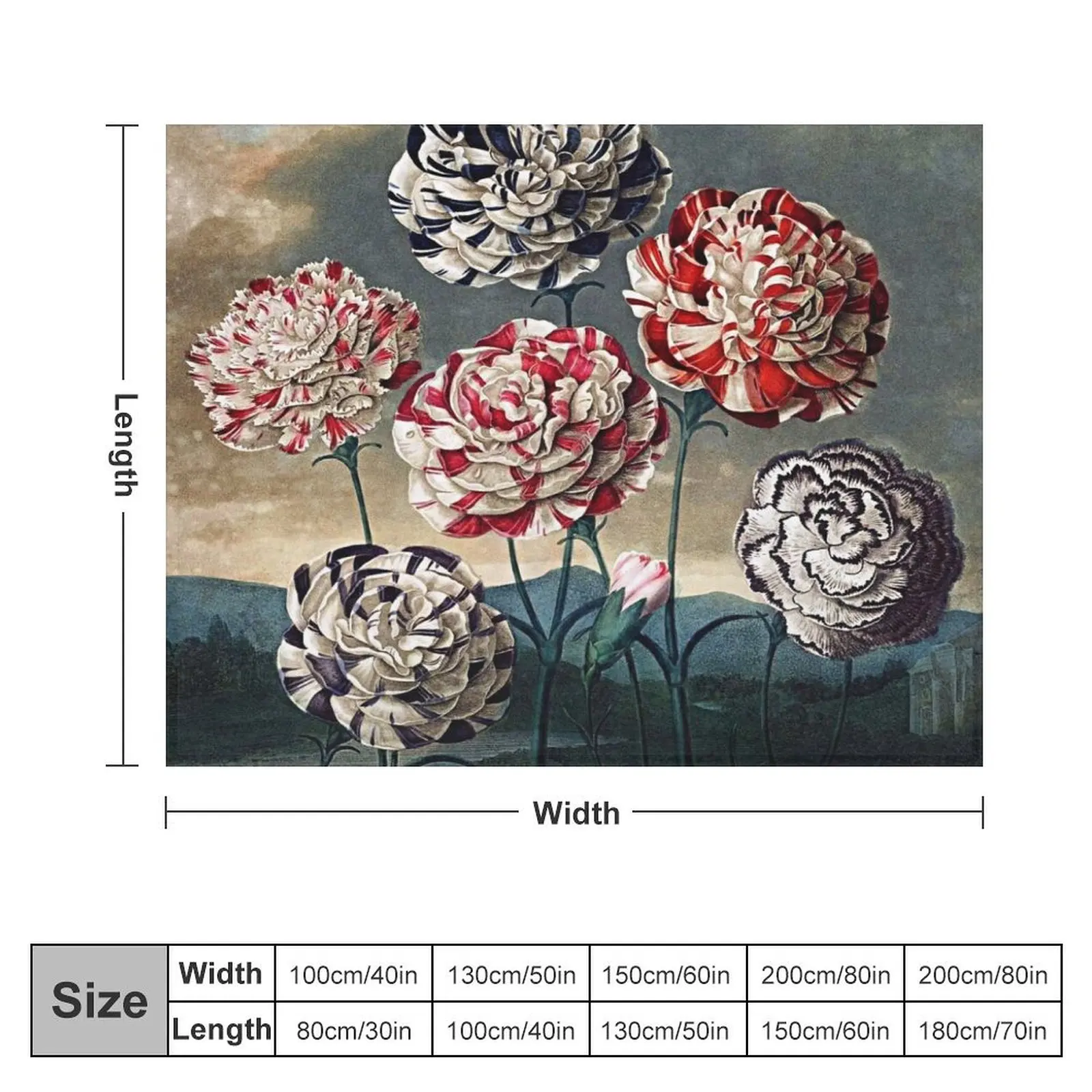 Botanical Art Temple Of Flora Carnations Throw Blanket Plush Thermals For Travel Sofa Hairy Blankets