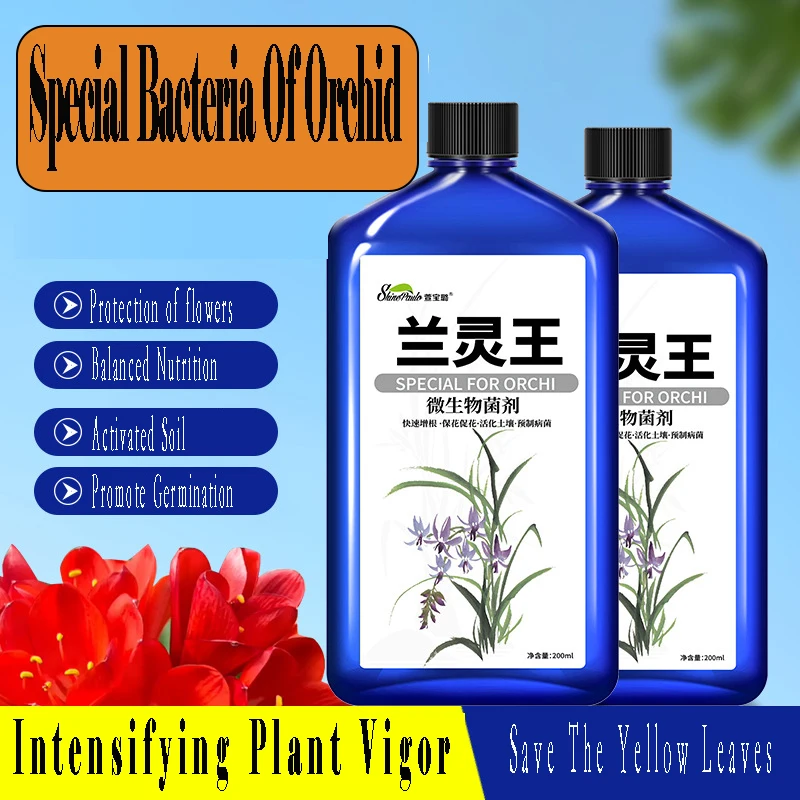 Fiori in vaso idroponico con fertilizzante liquido nutriente speciale per orchidea per promuovere fioritura e radicolare la soluzione nutritiva