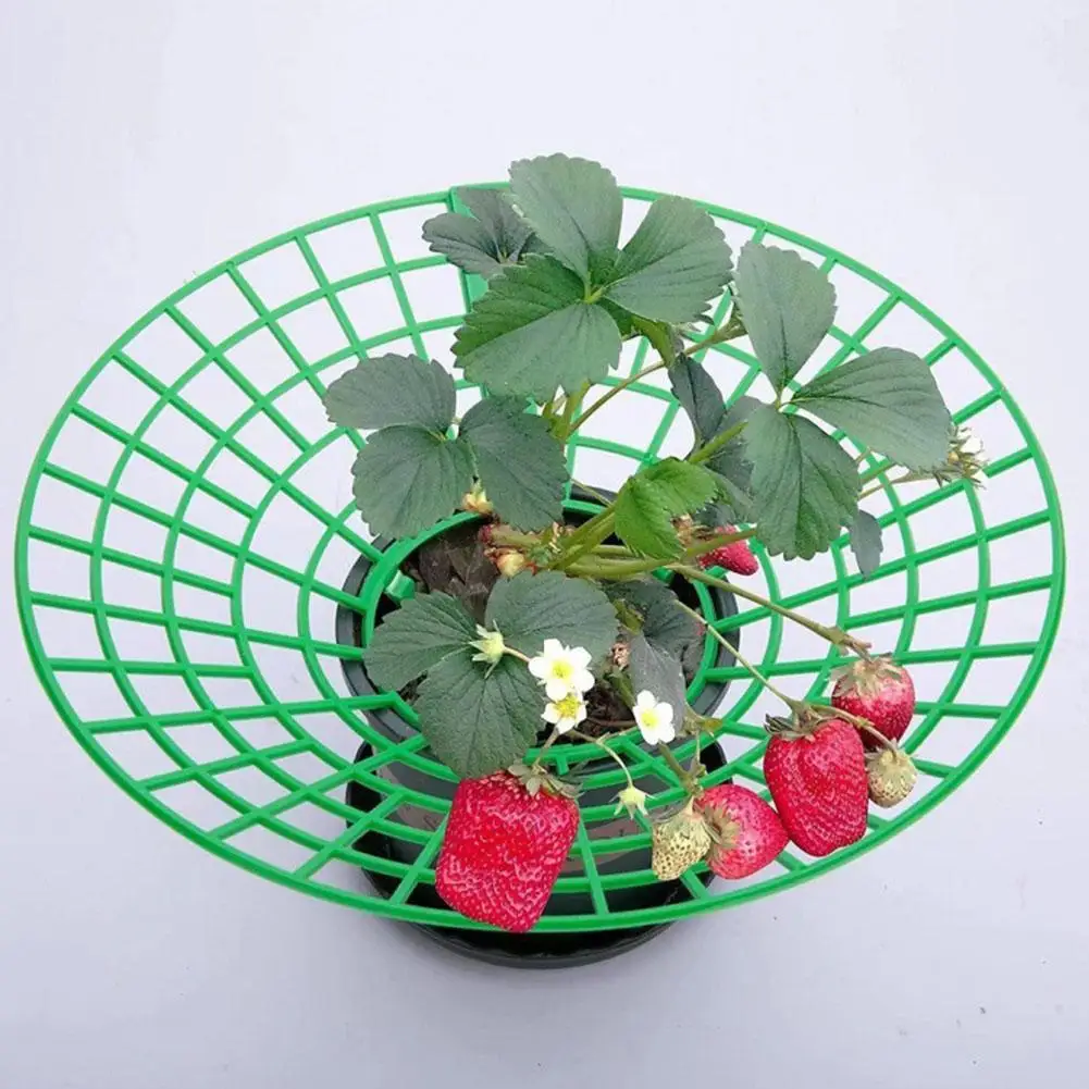 

Strawberry Stand Frame Holder Balcony Planting Rack Fruit Support Plant Flower Climbing Vine Pillar Gardening Stand 10Pcs 2024