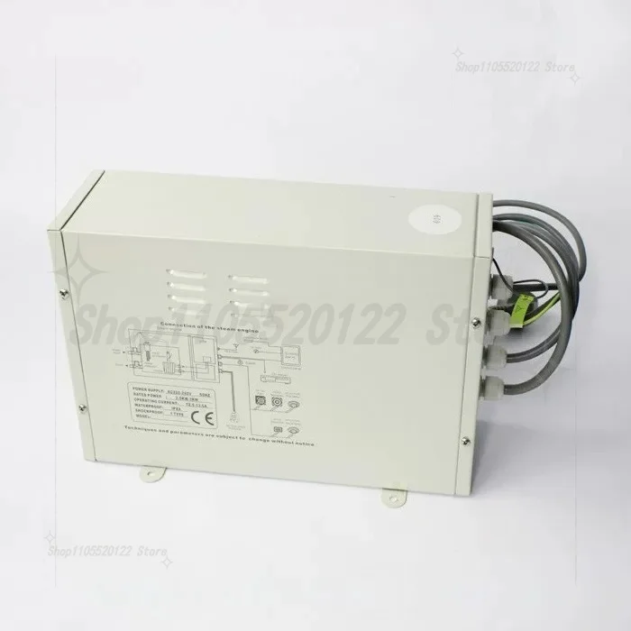 TR-019 Steam Engine System Integrated Steam Generator Sauna Steam  Engine Host