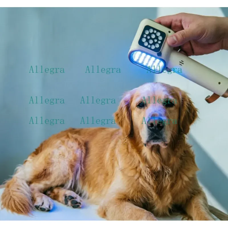 Veterinary Device with Red+Blue+Infrared for Comprehensive Pet Wound and Care