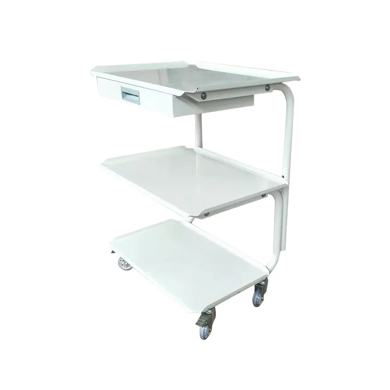 

Medical Cart Salon Trolley Storage Rack Dentistry Minimalist Salon Trolley Modern Commercial Furniture Carrito Auxiliar Lstc