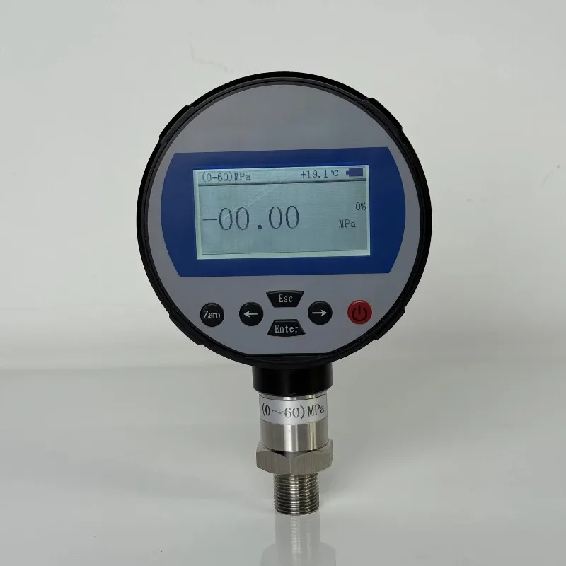 

HSIN HSIN685 Digital Stainless Steel Pressure Gauge Calibrator Manometer (-1 to 10 Bar) for Air/Hydraulic/Water/Oil Use