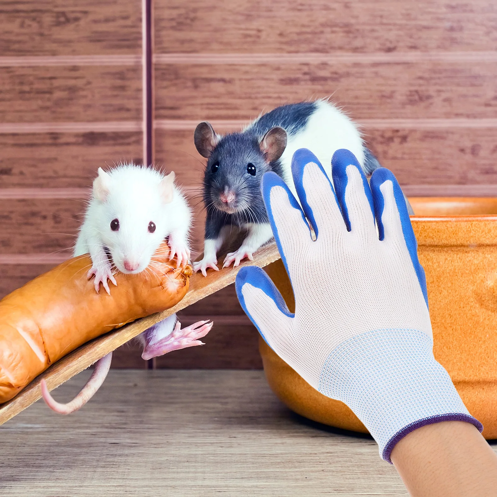 

Hamster Bite Resistant Gloves Blue Animal H Pet Food Grooming Dogs Cats Mittens Prevent Scratching Durable Comfortable