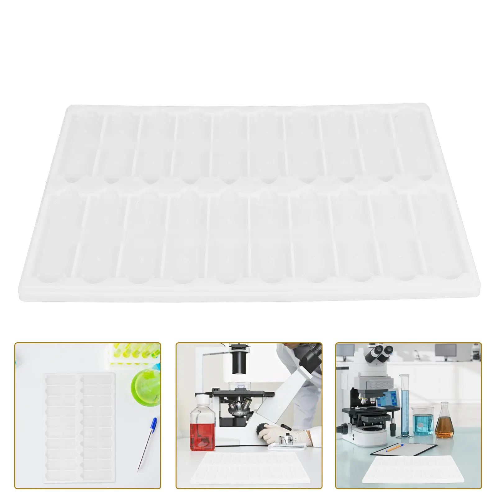 Laboratory Microscope Slide Storage Tray 20-Slot PP Material Slide Organization Board for Easy Retrieval Science Teaching Use