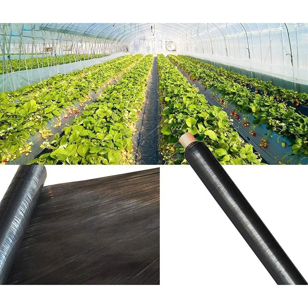 

Биоразлагаемая пленка для мульчирования от сорняков, 14 микрон, 2x30 м, идеально подходит для клубники и томатов