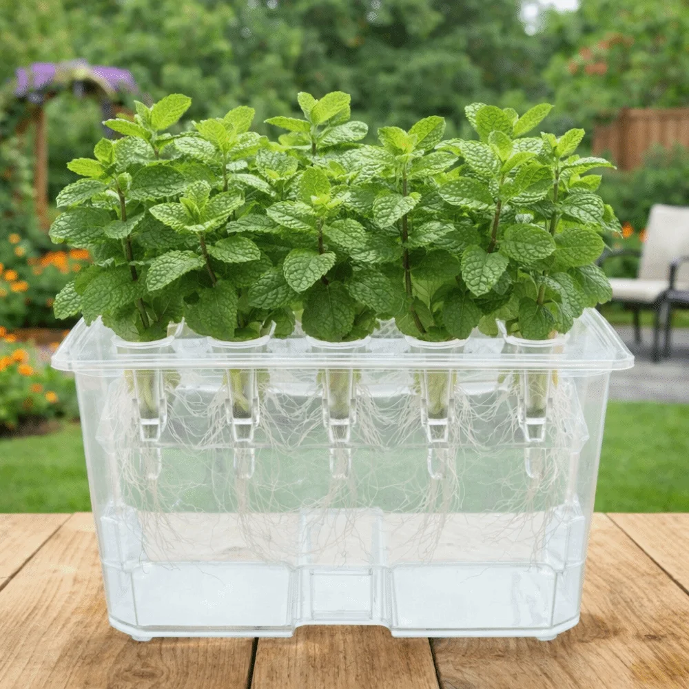 Split Design Hydroponic Box Plastic Thicken Soil-Free Planting Box Nursery Pots Hydroponic Growing Box Herb Growing