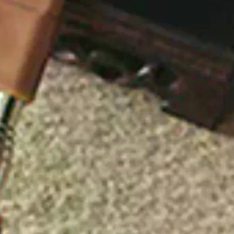 

Stainless Steel Retractable Scratcher Portable Telescopic Back Scratcher Itch Massage Tool Adjustable Double Pole Scratcher Gift