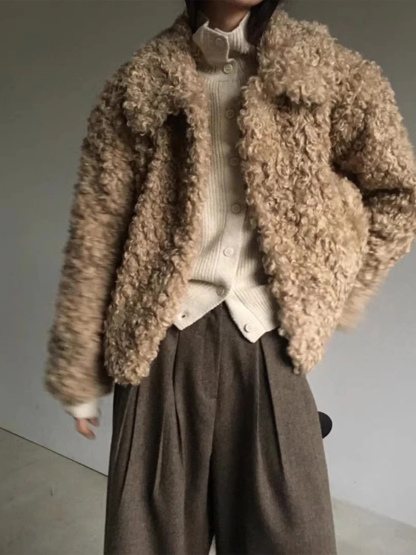 

Gagarich Korean High-end Looped Wool Versatile Lamb Wool Short Jacket Women Autumn Winter 2025 New Small Loose Warm Top