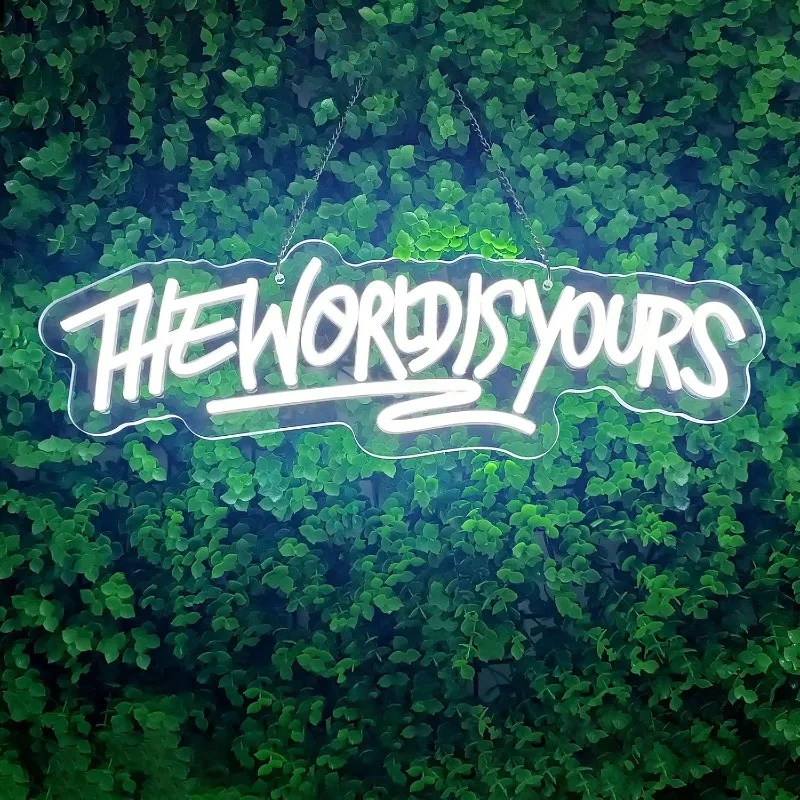TheWorld Is Yours Neon Sign USB PowerDimmable LED Light Signs Game Room Wall Decor Led Signfor Birthday Party Gift for Man Teens