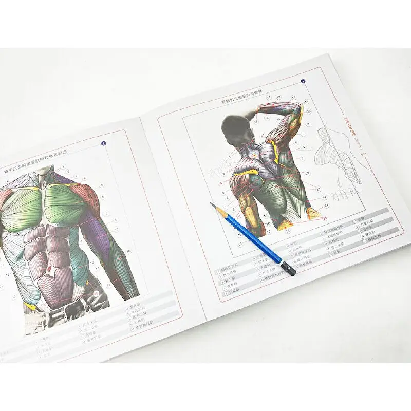 Artistic Anatomy of the Human Body (Essential Edition) Dangdang