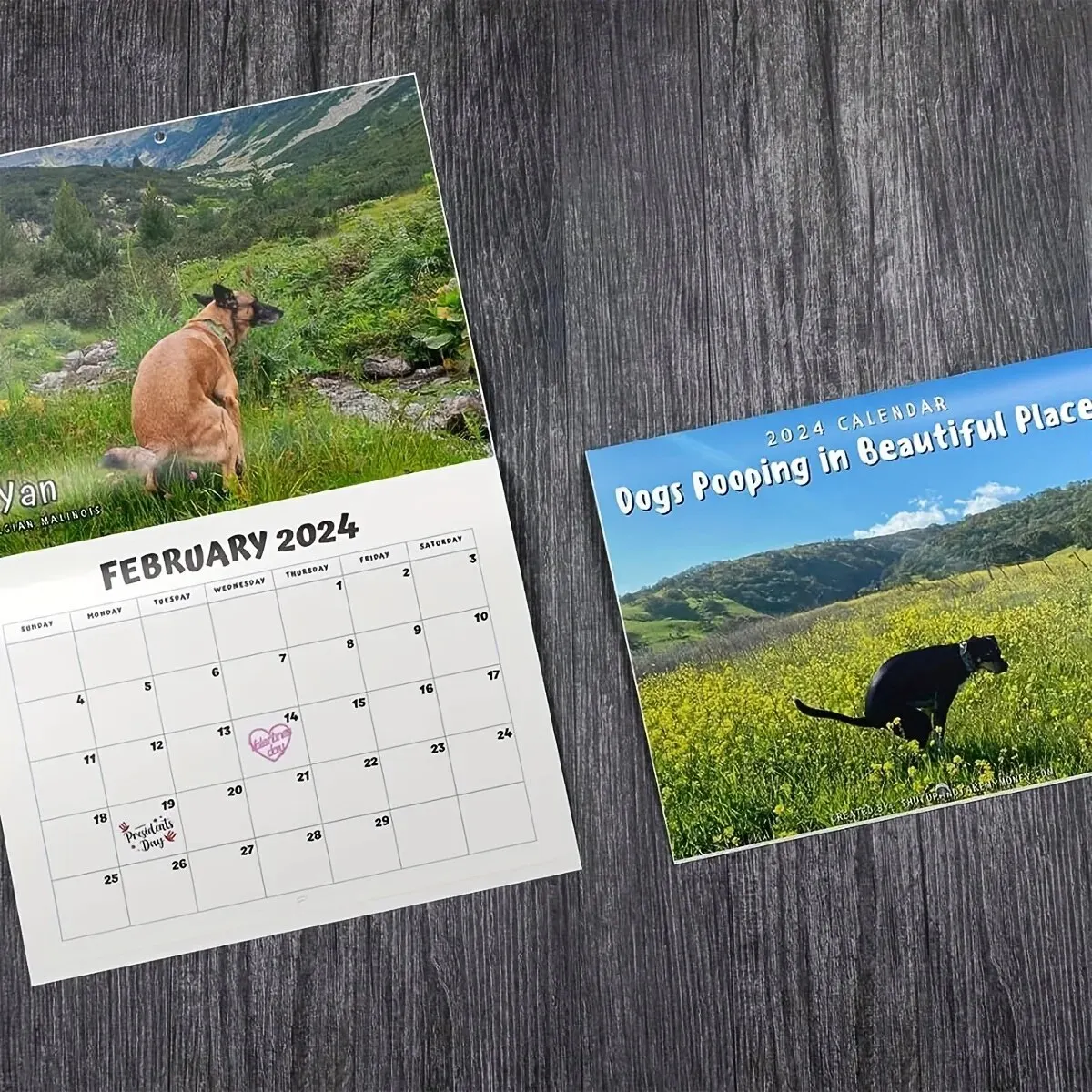 1 Pcs Funny Dog Pooping Wall Calendar 2024 Unique Calendar Gift for Friends Family Neighbors Coworkers Relatives Loved Ones