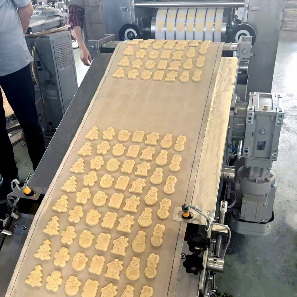 

High Productivity Small Rotary Cookie Biscuit Making Machine Easy Operation New Condition