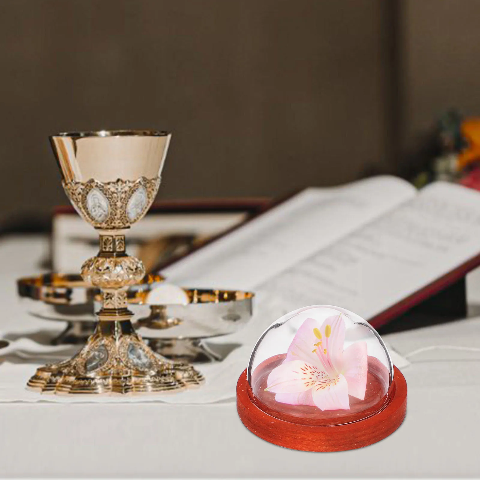 

3Pcs Eternal Flower Glass Dome Wood Base Mini Display Dome Home Table Decoration Preserved Flower Glass Cloche Living Room Decor