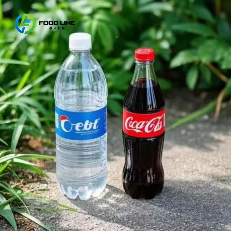Customized Automatic Bottle Capper Floor Mount For Plastic Glass Bottles 220V 380V 50-150 Bottles Per Minute High Efficiency