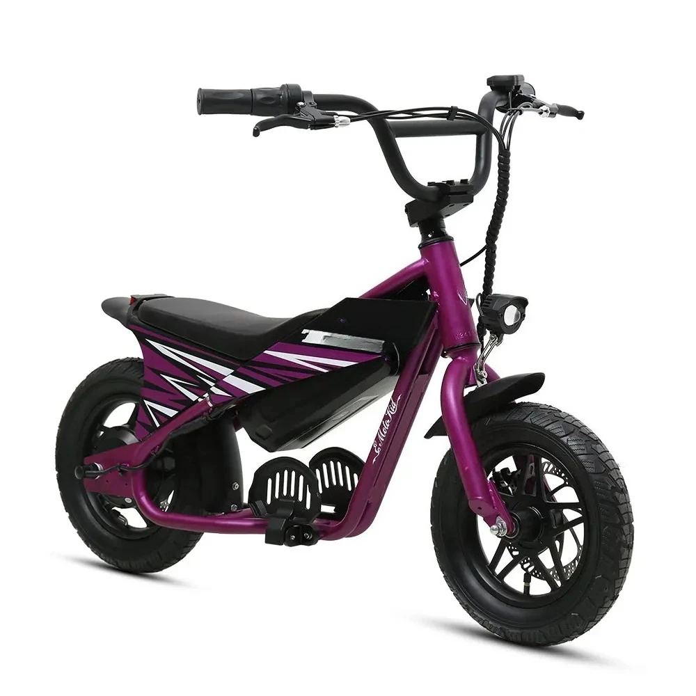 

TXED 12 Inch Tire Electric Motor Bike 36V 250W 3x2 Gears Speed Mini Electric Motorcycle for Kids