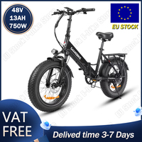 LOTDM200 Electric Bicycle 750W Powerful Motor 48V13AH Lithium Battery Adult Electric Bike Fold 20*4.0 Fat Tire Mountain E-bike