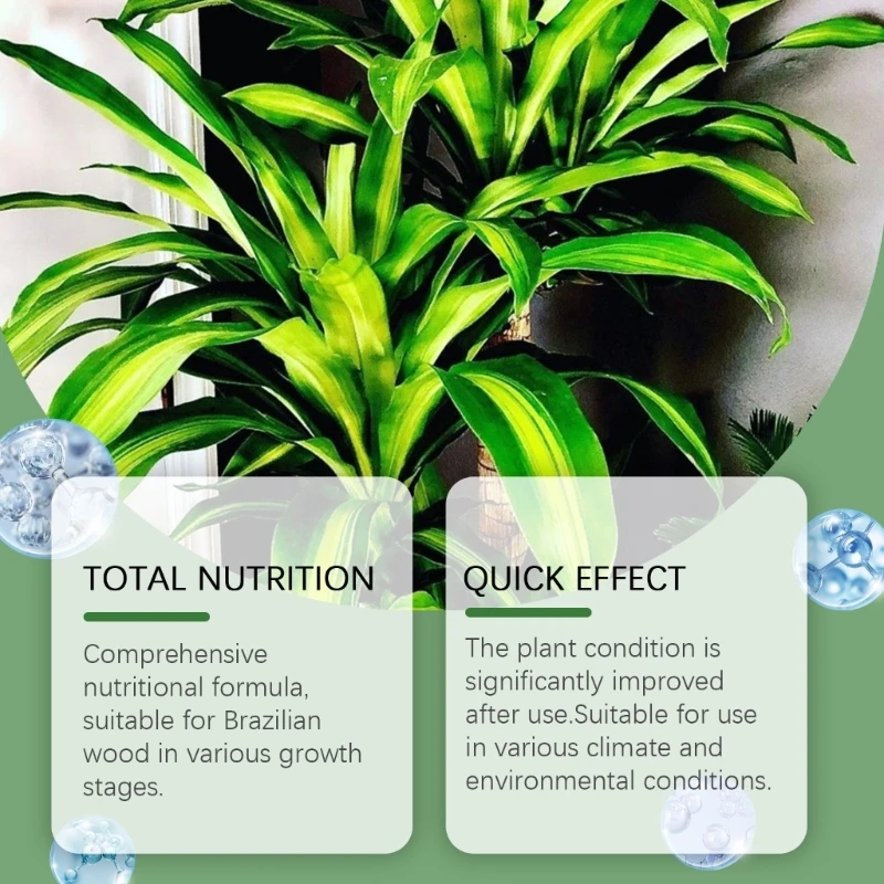 Efficient Hydroponic Growth Liquid Practical Nutrition Hydroponic Solution for Brazilian Enhances Root Development