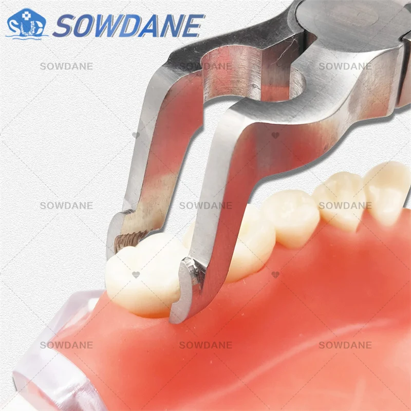 Dental Forcep Root Fragment Minimally Invasive Tooth Extraction Forcep Dental wisdom teeth plier Dental Surgical Instrument Tool