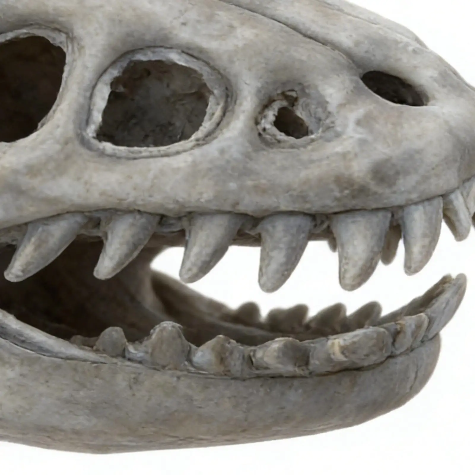 Dinosaur Skeleton Plush Costume Plush Stuffed Toy Halloween Skeleton Outfits for Kids Adults Stage Performance Themed Event view 5