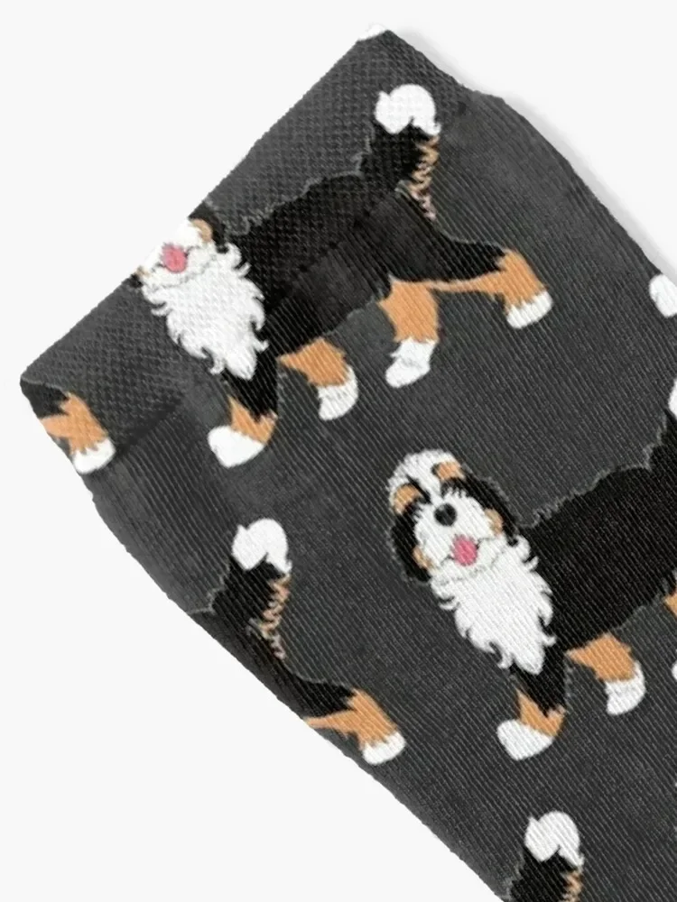 Tri Color Bernedoodle Socks cute anti-slip crazy man Socks Men's Women's