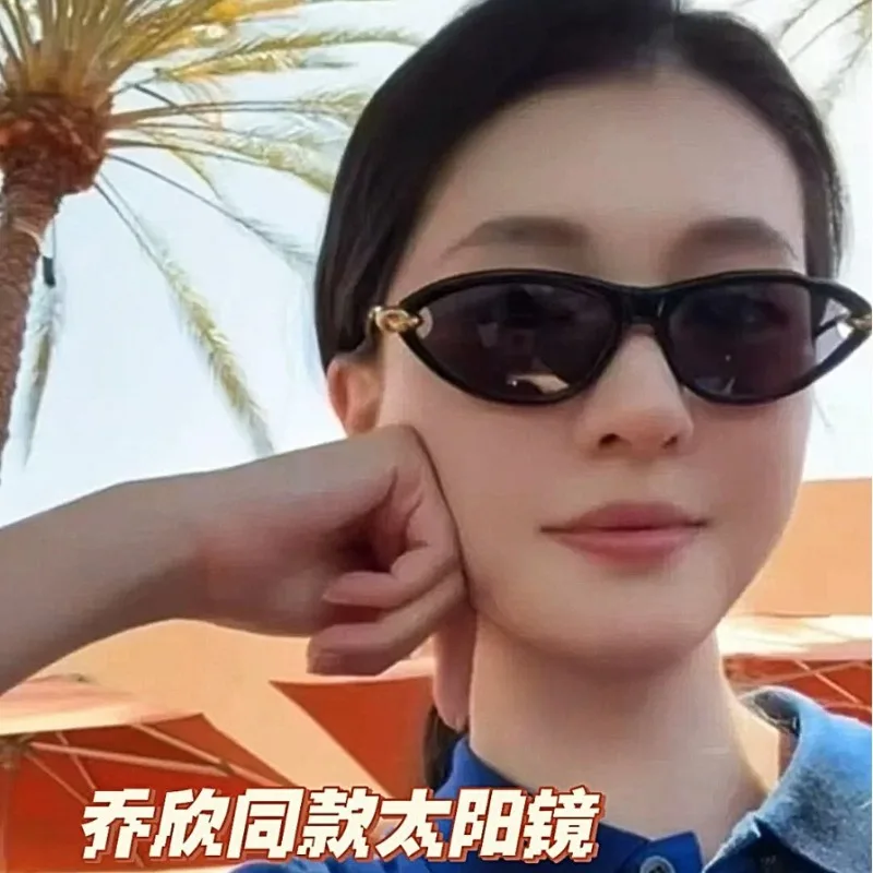 1390 Knot Metal Leg Sunglasses Ladies Old Money Wind Advanced Sense INS Fashion Cat's Eye Small Box Sunglasses