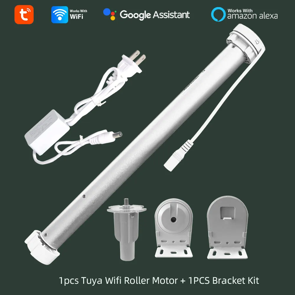 1 Motor and Bracket