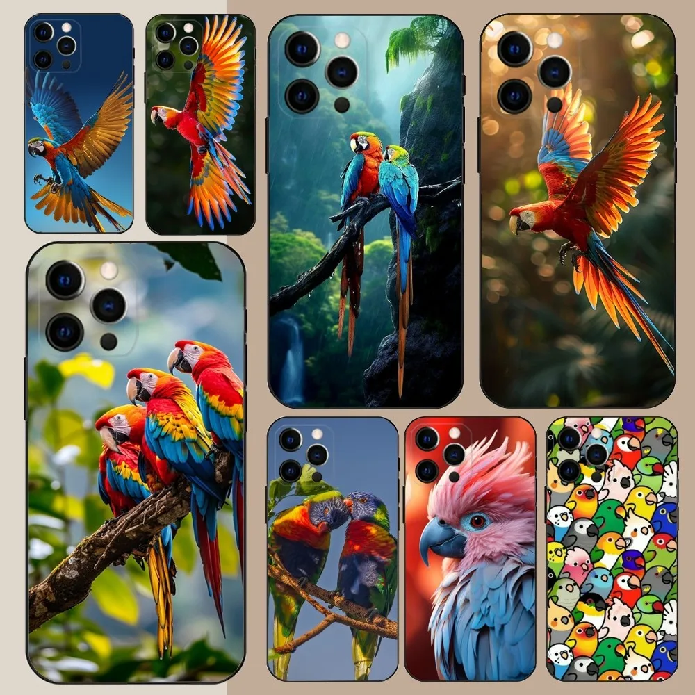 Colored Parrot  Phone Case For Apple iPhone 15,14,13,12,11,Pro,X,XS,Max,XR,Plus,Mini Soft Black Cover