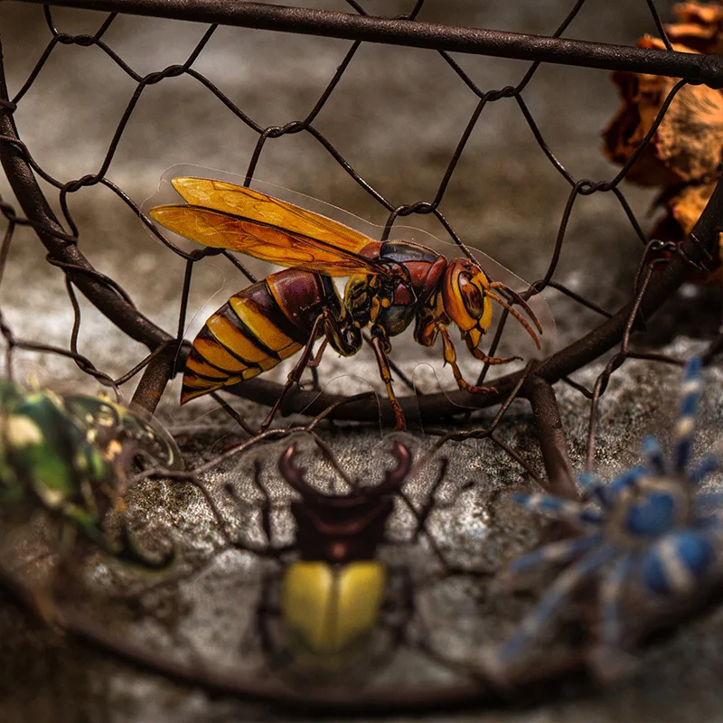 

1 упаковка/2 упаковки, украшение для природы, 25 листов/упаковка, журналы, образцы насекомых, серия книг с картинками, тематические наклейки для домашних животных для ноутбука