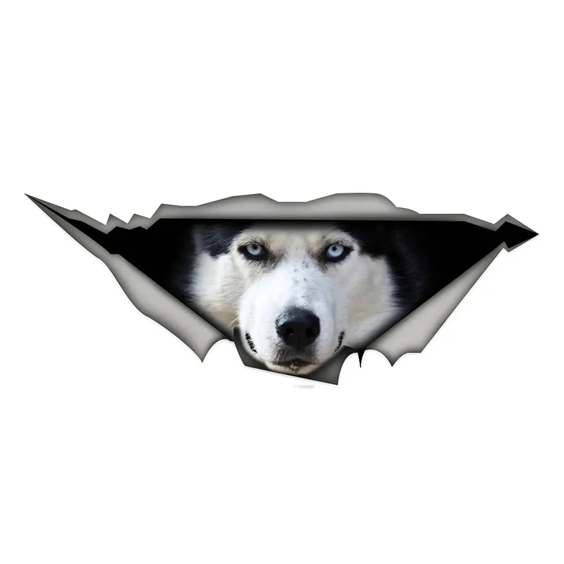 

Sled Dog Head Car Sticker - Pet & Animal Design - PVC Waterproof Decal - For Vehicles & Laptops