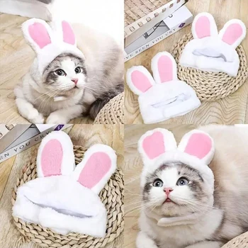 Rabbit Ears Hat 1