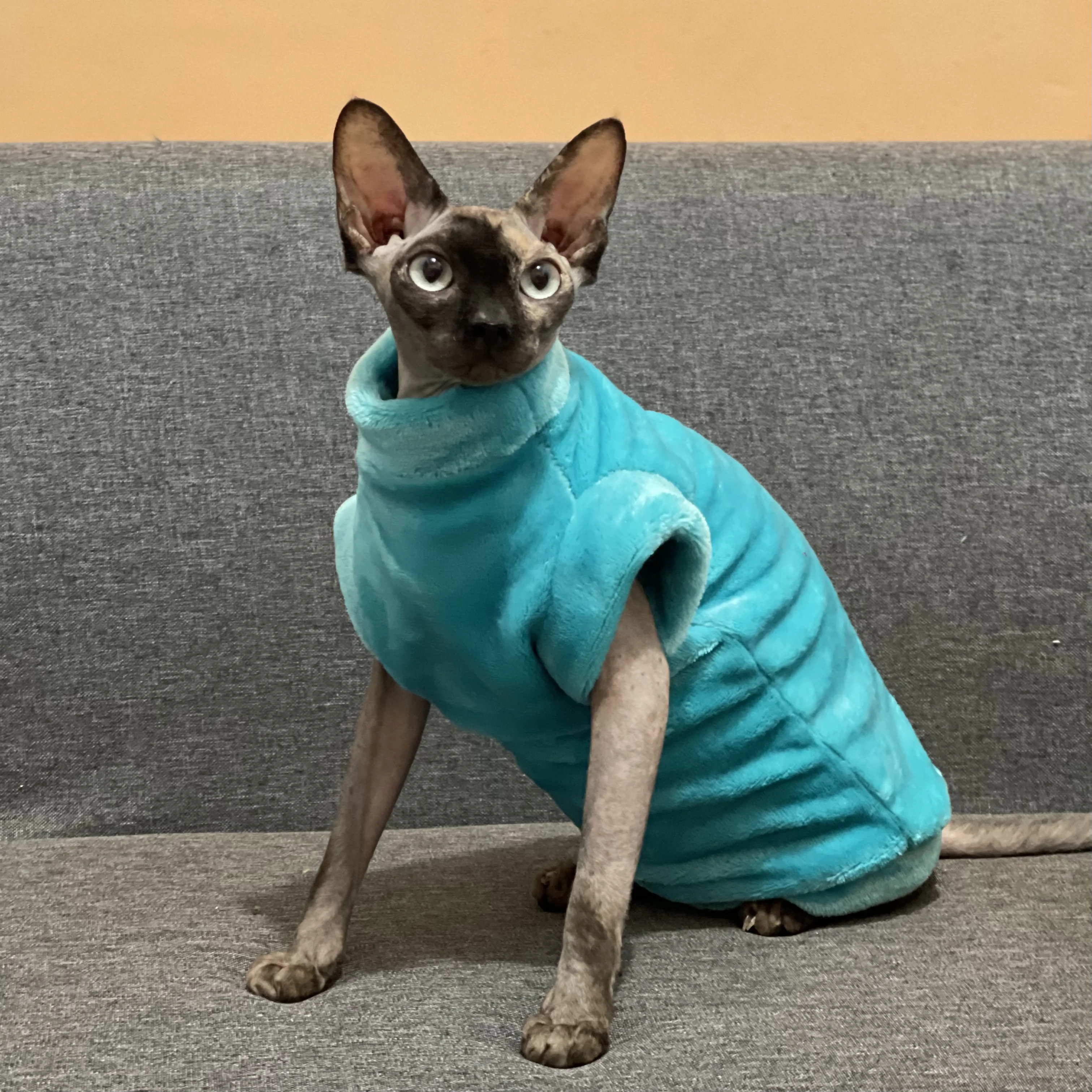 Fashion Charming Blue Warm Sphynx Cat Sweater Hairless Cat Clothes Thickening Soft Lamb Wool Fiber Coat for Devon Winter Outwear