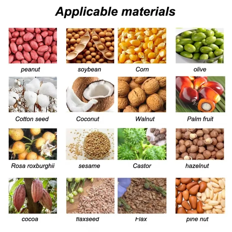 Pumpkin Castor Canola Moringa Cacao Jojoba Rapeseed Musterd Soja Baobab Seed Hydraulic Screw Oil Extraction Cold Press Machine