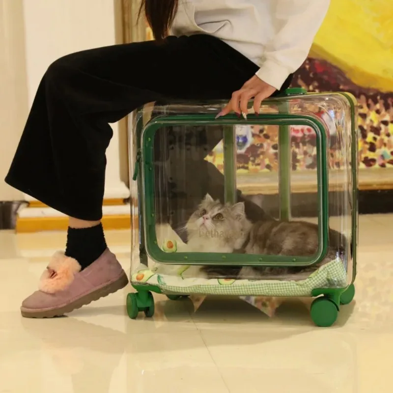 Pet Trolley Suitcase Carrier Transparent for Cats and Small Dogs Design Outdoor Pet Transport Travel Accessories Pet Products