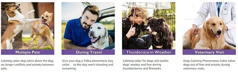 New Release Dog Calming Pheromone Collar Cat Relieve Anxiety Adjustable Comfortable Collar For Puppy Kitten Large Dog Accessorie