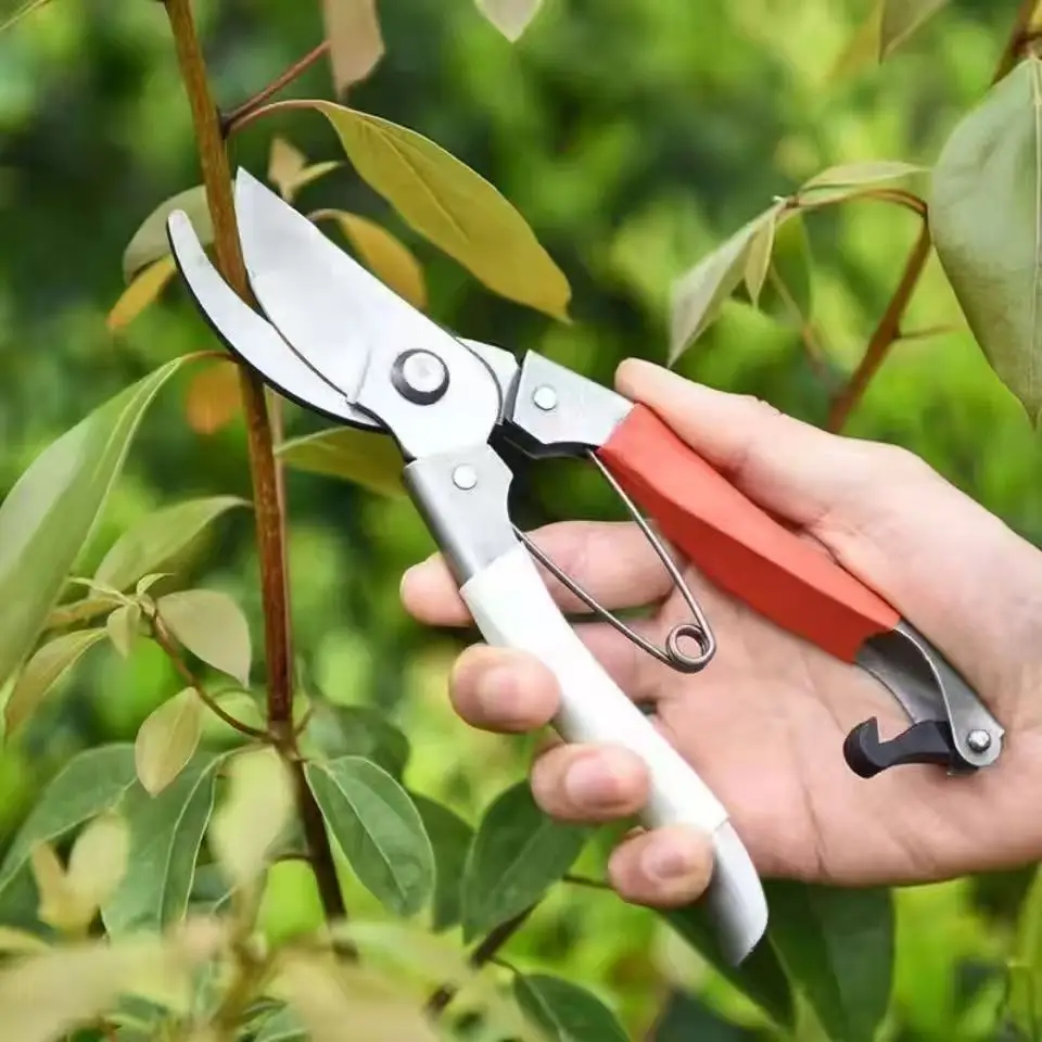 5-Piece Shovel, Pruner, Hoe, Rake – Essential Gardening Tool Set 4