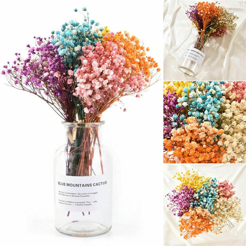 12cm Dried Flower Gypsophila Flowers Rose Flower Bouquet Wedding Home Decor