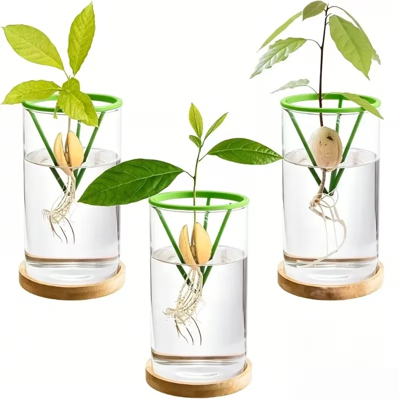 2 Hydroponic Seed Support Pots – Green Conical Containers, for Avocados & Seedlings, Indoor/Outdoor