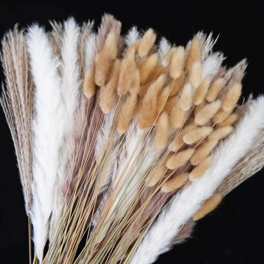 Dried Pampas Bundle - ช่อดอกไม้แห้งธรรมชาติผสมผสาน แพมพัส บันนี่เทลกราส โบโฮ ช่อดอกไม้แห้ง สำหรับตกแต่งแจกันโต๊ะบ้าน