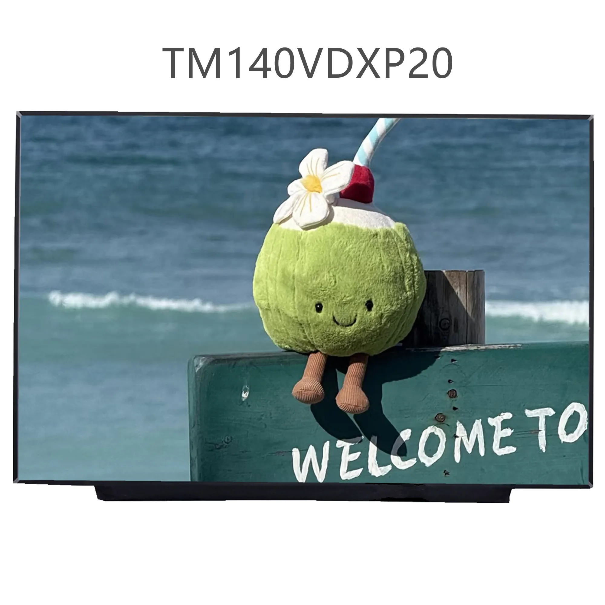 

14.0'' TM140VDXP20 V19.0 Laptop LCD Screen Display Panel Matrix Replacement