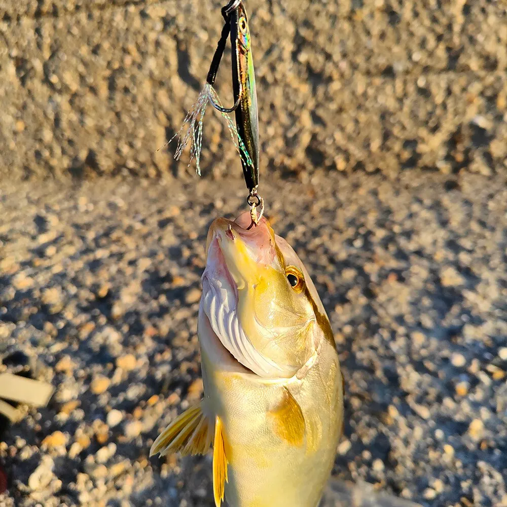 Metal Jig Fishing Lure 10g 20g Cast Hook Swimbait 3D Laser Wobbler Pike Spoon Carp Spinner Sea Tackle Kit Pesca Artificial Bait image 4