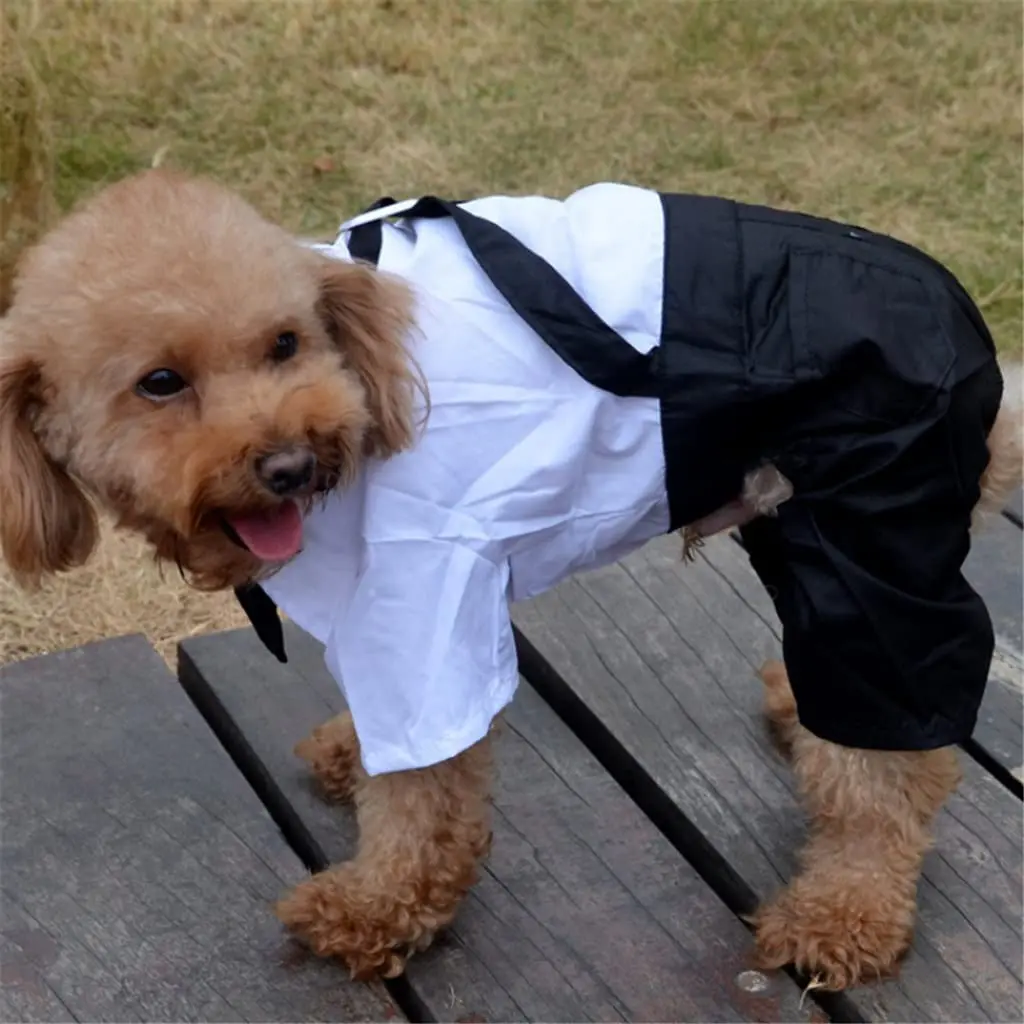 Stylish Dog Tuxedo Suit Dog Prince Wedding Shirt Costume Formal Tuxedo with Bowtie Puppy Clothes Dog Jumpsuit for Small Dogs