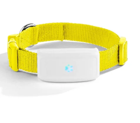 Mini traqueur GPS intelligent pour animaux de compagnie, anti-perte, détecteur étanche pour chien et chat, équipement de recherche, 4G