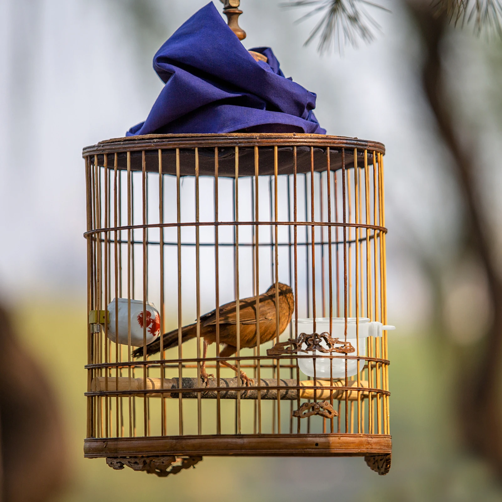 

5Pcs Bird Feeder Transparent Acrylic Multi-Function Hanging Parrot Food Bowl Cage Accessory Bird Bowl Transparent Parrot Feeder