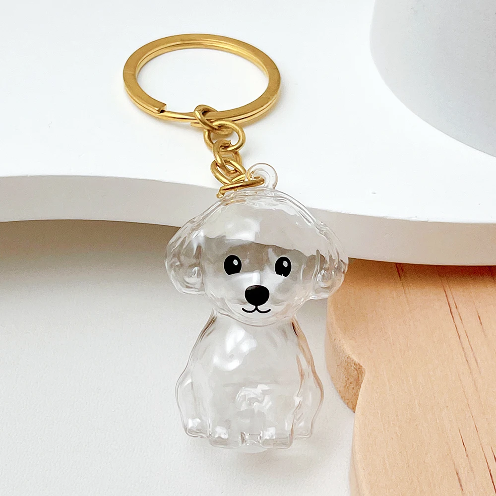 50pcs-wholesale-cute-transparent-plastic-keychain-dog-hair-storage-keyring-bag-car-pendant-for-family-member-souvenir-gift