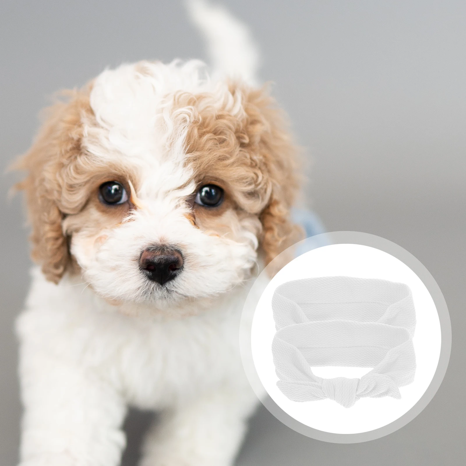 

2 Pcs Hair Ribbon Pet Bow Headdress Dog Accessories Puppy Headband for Grooming Large Bands Hairband Headwear