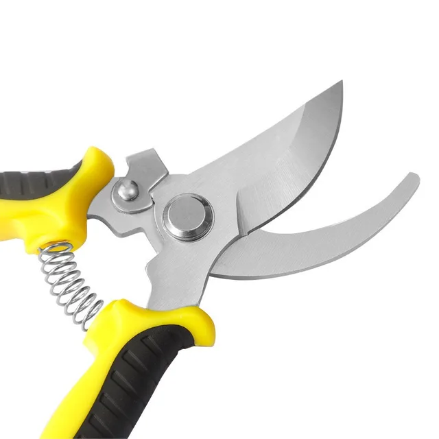 Pruner Garden Scissors Professional Sharp Bypass Pruning Shears Tree Trimmers Secateurs Hand Clippers For Garden Beak Scissors 5 Pruner Garden Scissors Professional Sharp Bypass Pruning Shears Tree Trimmers Secateurs Hand Clippers For Garden Beak Scissors 5