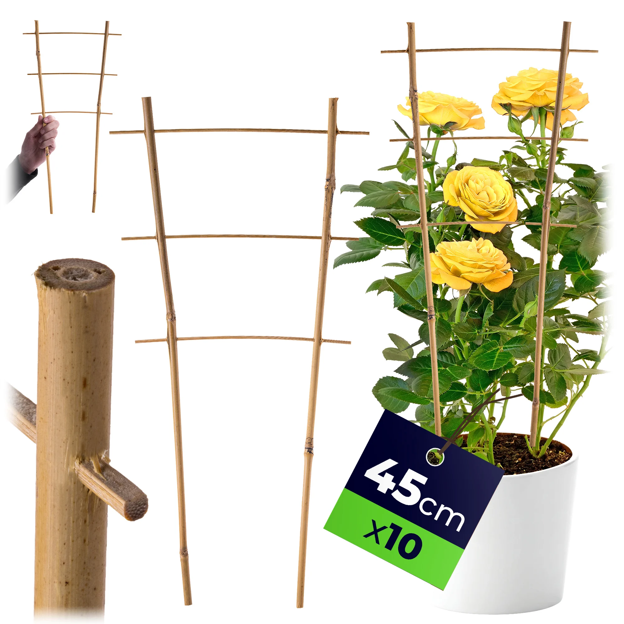 KADAX Pergola Bamboe Laddersteun 45 cm 10 stuks